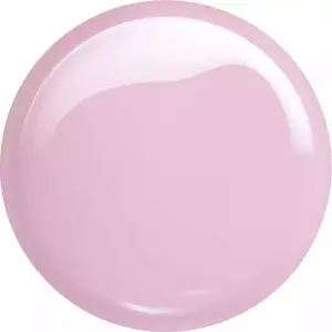 lilly pink.webp