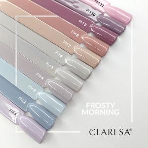 frosty morning wzornik.jpg