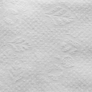 chusteczki-kosmetyczne-bio-eko-20x13-100-szt,.jpg