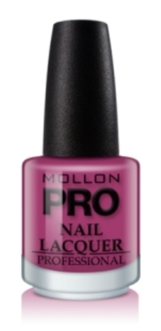 14.png  MOLLON PRO Lakier klasyczny nr 14, 15 ml